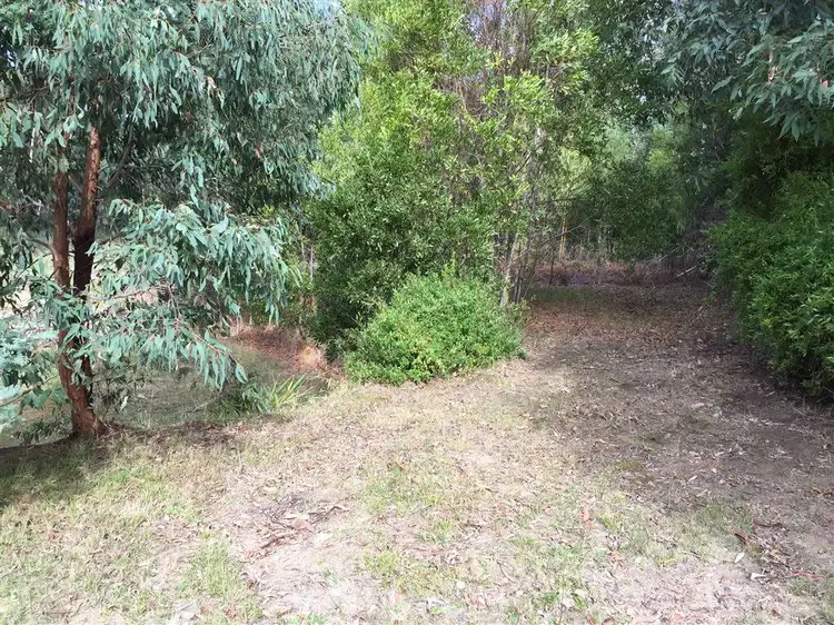 56 Silver Parrot Road, Flowerdale VIC 3658