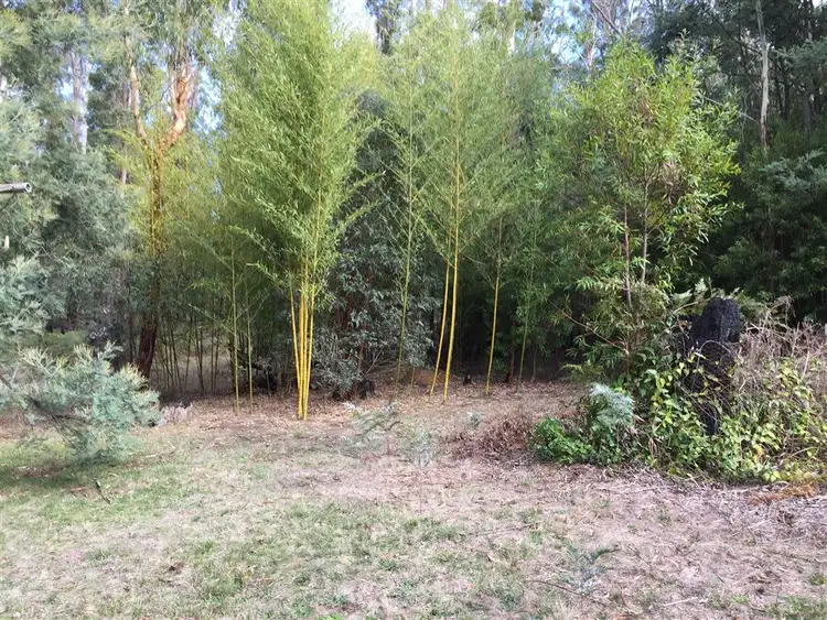 Fifth view of Homely land listing, 56 Silver Parrot Road, Flowerdale VIC 3658