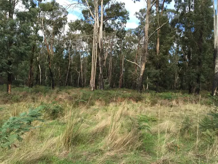 Sixth view of Homely land listing, 56 Silver Parrot Road, Flowerdale VIC 3658