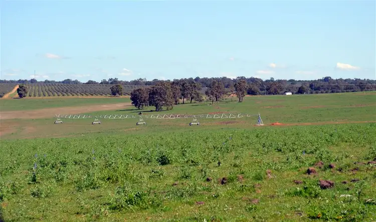Fourth view of Homely rural property listing, 866 Cheriton Road, Gingin WA 6503