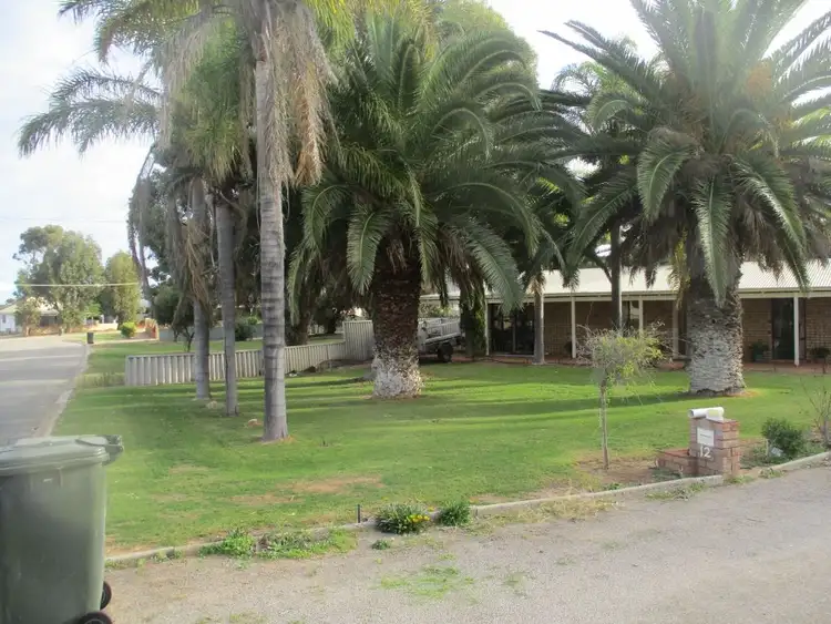 Main view of Homely house listing, 12 Reeve Terrace, Port Denison WA 6525