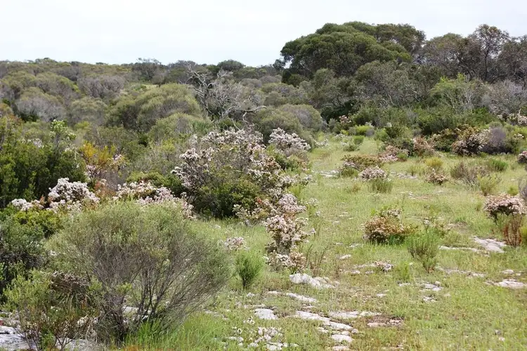 0 Lot 2 Yorke Highway