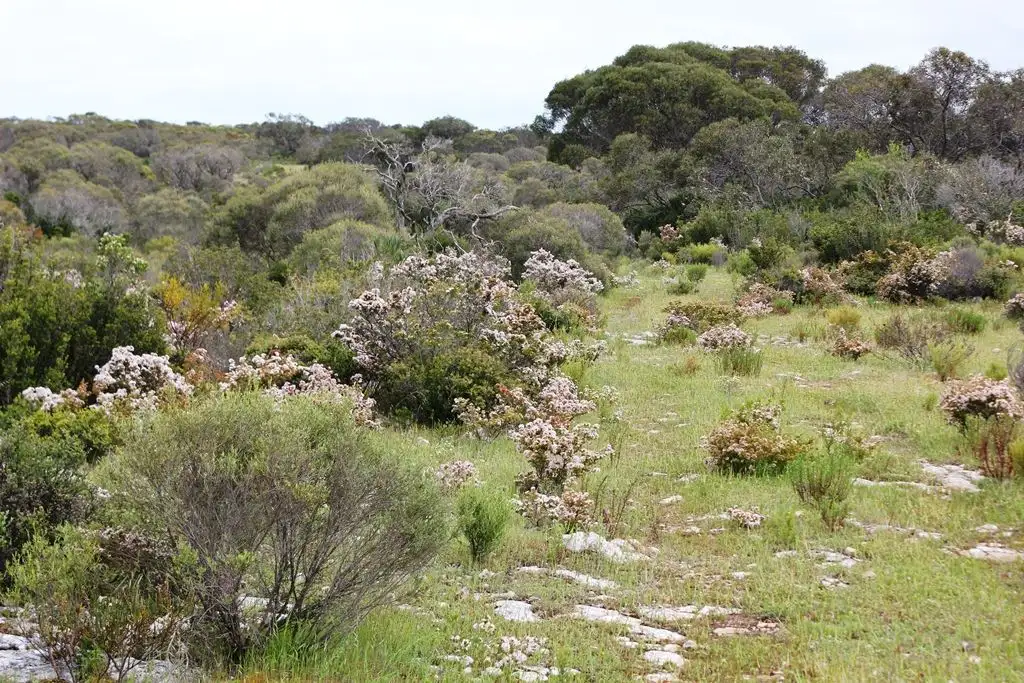 Main view of Homely land listing, 0 Lot 2 Yorke Highway, Warooka SA 5577