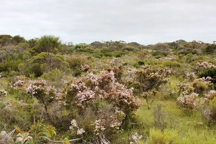 Fourth view of Homely land listing, 0 Lot 2 Yorke Highway, Warooka SA 5577