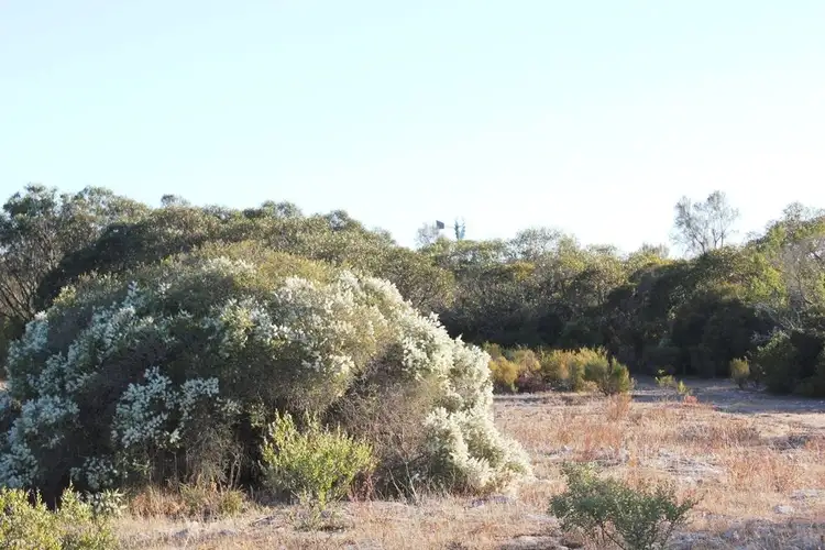 Fifth view of Homely land listing, 0 Lot 2 Yorke Highway, Warooka SA 5577