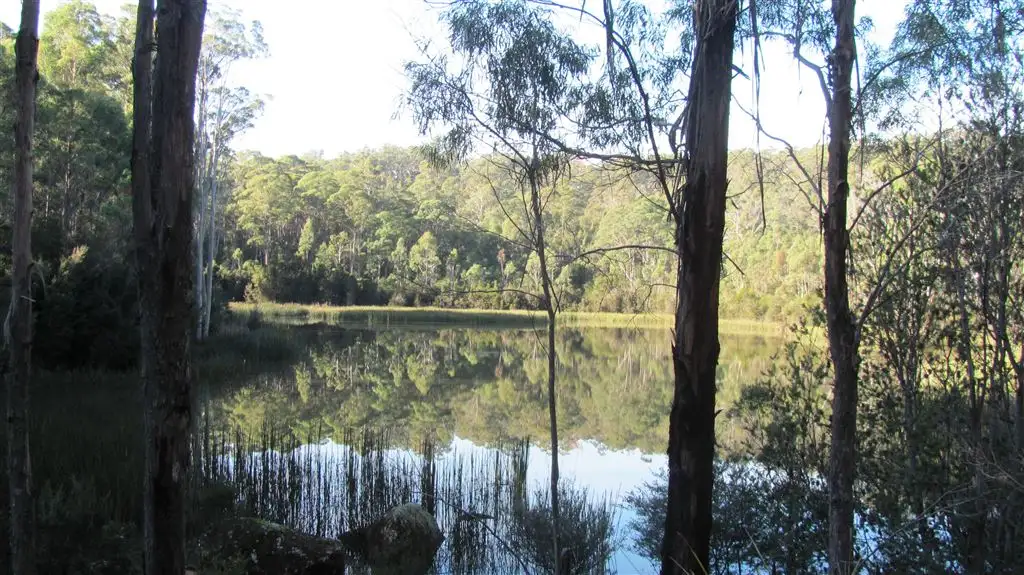 Main view of Homely rural property listing, 361-365 Pipers River Road, Turners Marsh TAS 7267