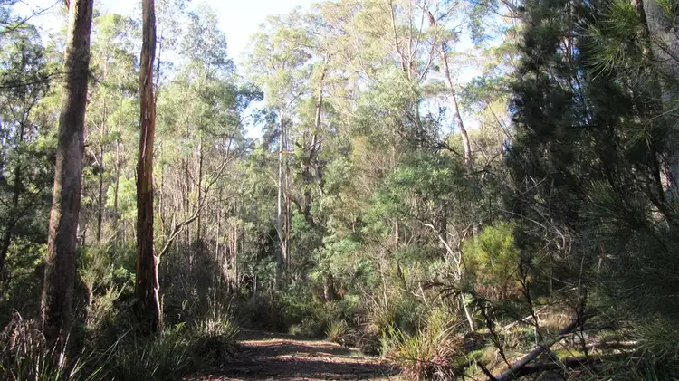 Third view of Homely rural property listing, 361-365 Pipers River Road, Turners Marsh TAS 7267
