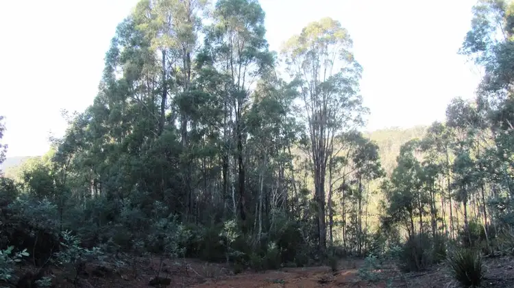 Fifth view of Homely rural property listing, 361-365 Pipers River Road, Turners Marsh TAS 7267