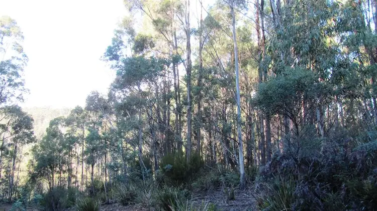 Sixth view of Homely rural property listing, 361-365 Pipers River Road, Turners Marsh TAS 7267
