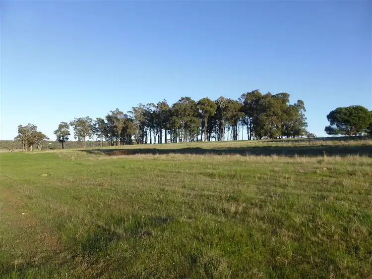 Sixth view of Homely rural property listing, 13116 South West Highway, Manjimup WA 6258