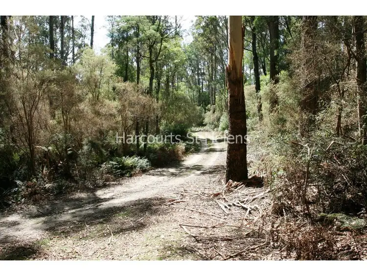 Fifth view of Homely land listing, 35 Anchor Road, Pyengana TAS 7216