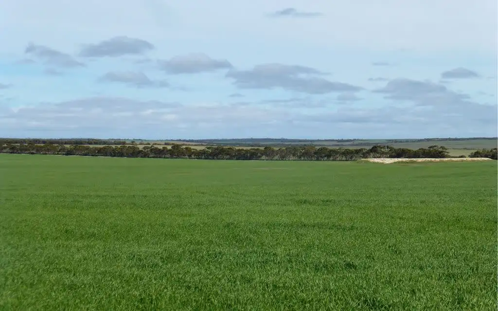 Main view of Homely rural property listing, Address available on request