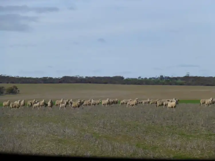 Fifth view of Homely rural property listing, Address available on request