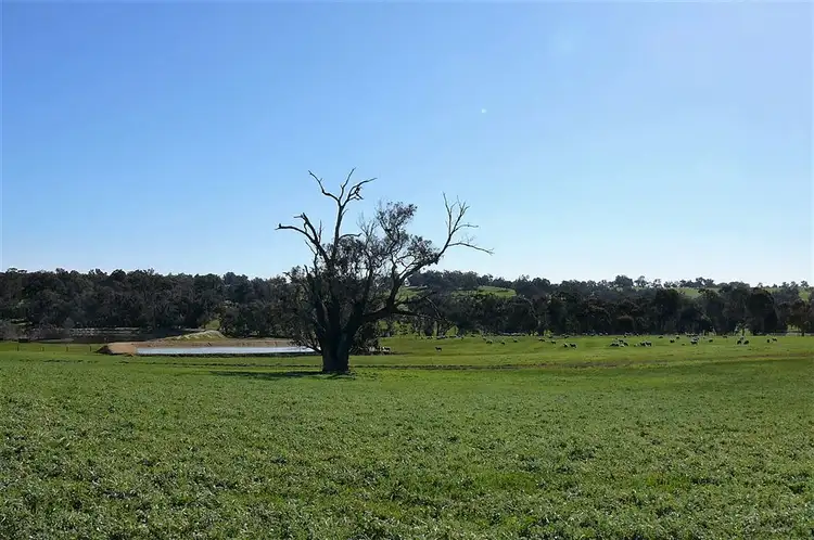 Seventh view of Homely land listing, 194 Banks Rd, Boyup Brook WA 6244