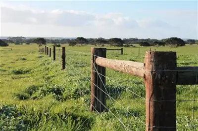 Third view of Homely rural property listing, 464 Birchmore Road, Kingscote SA 5223