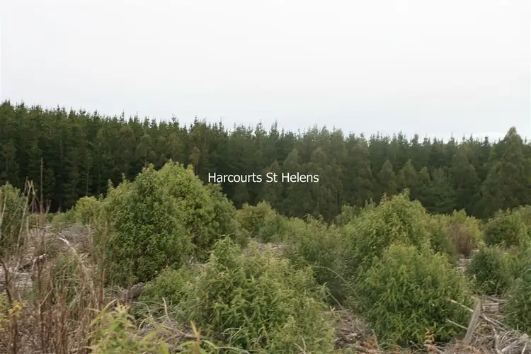 7747008 Peters Road, Goulds Country TAS 7216
