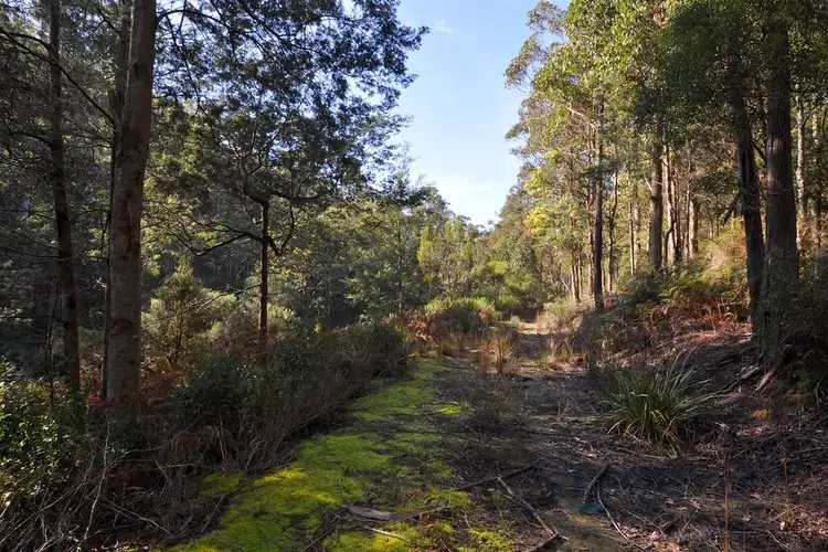 Second view of Homely land listing, 252 Saddle Road, Kettering TAS 7155