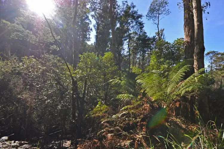 Third view of Homely land listing, 252 Saddle Road, Kettering TAS 7155