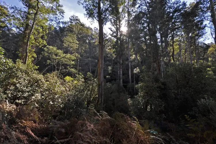 Fourth view of Homely land listing, 252 Saddle Road, Kettering TAS 7155