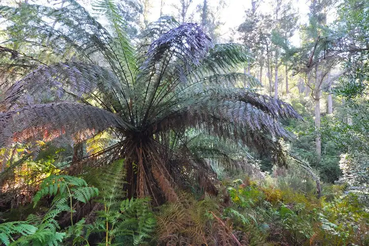 Fifth view of Homely land listing, 252 Saddle Road, Kettering TAS 7155
