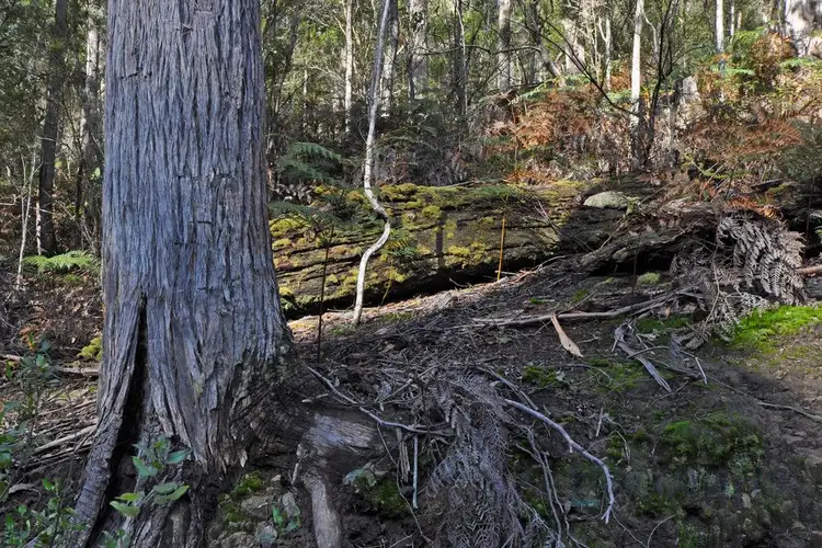 Sixth view of Homely land listing, 252 Saddle Road, Kettering TAS 7155