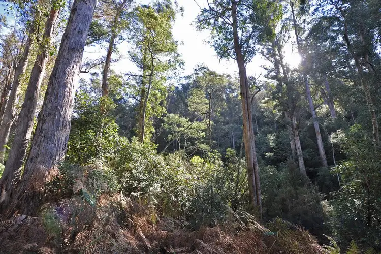 Seventh view of Homely land listing, 252 Saddle Road, Kettering TAS 7155
