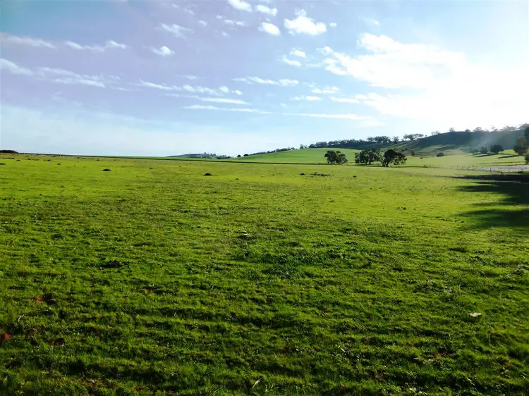 Sect 378 Thompson Priest Road, Mintaro SA 5415