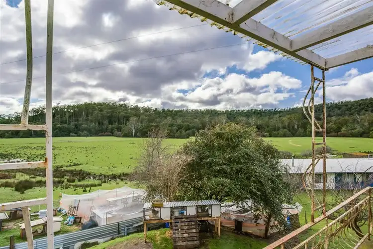 Sixth view of Homely rural property listing, 430 Jensens Road, Scottsdale TAS 7260
