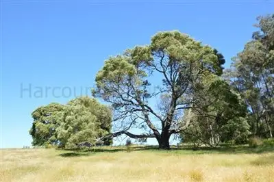 Second view of Homely rural property listing, lot 1 Grundy's Rd, Dunorlan TAS