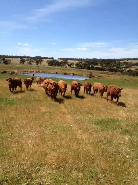 Seventh view of Homely rural property listing, 76 Mt Boyle Rd, Kalgan WA 6330