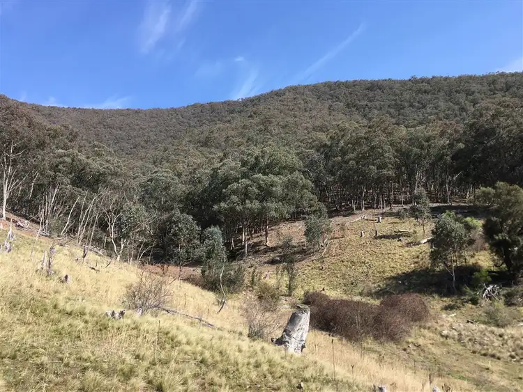 Third view of Homely rural property listing, 564 Lots 45a and 45b, Cassilis Road, Swifts Creek VIC 3896