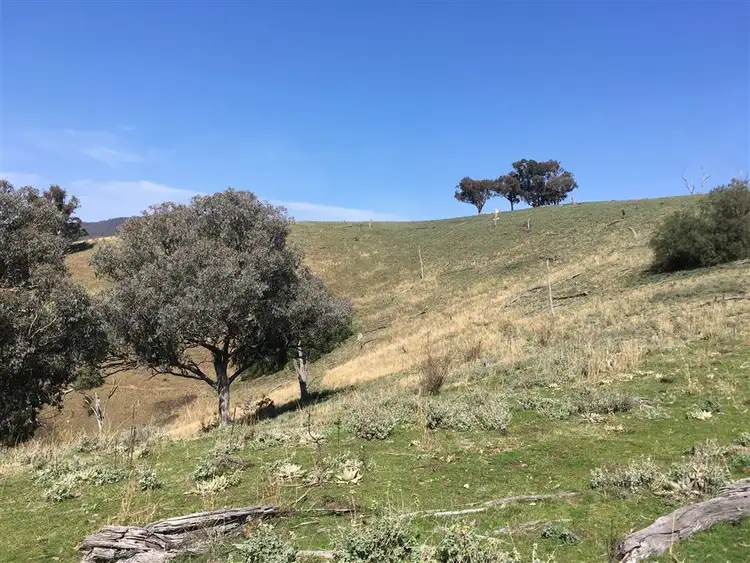 Second view of Homely rural property listing, 349 Cassilis Road, Swifts Creek VIC 3896