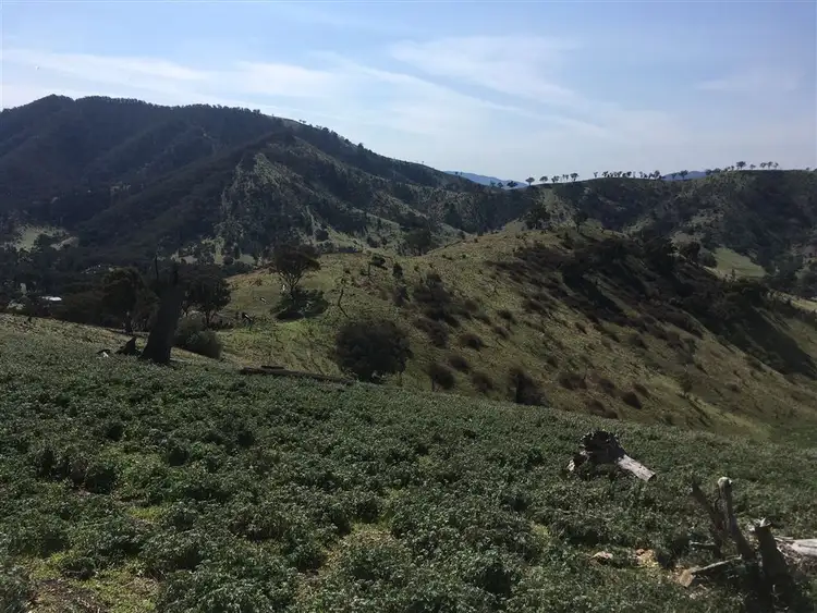 Third view of Homely rural property listing, 349 Cassilis Road, Swifts Creek VIC 3896