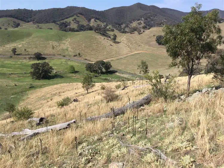 Fourth view of Homely rural property listing, 349 Cassilis Road, Swifts Creek VIC 3896