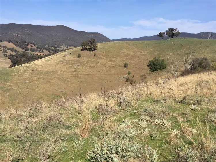 Fifth view of Homely rural property listing, 349 Cassilis Road, Swifts Creek VIC 3896