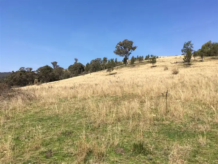Seventh view of Homely rural property listing, 349 Cassilis Road, Swifts Creek VIC 3896