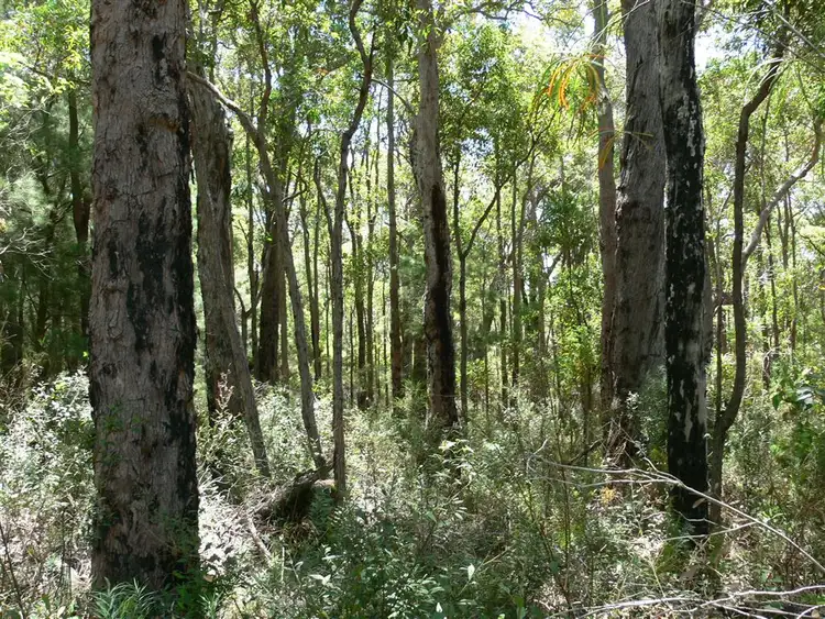Seventh view of Homely rural property listing, 202 Jay Road, Northcliffe WA 6262