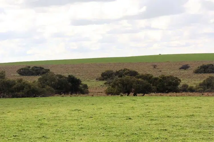 Fifth view of Homely rural property listing, 200 Bibby Road, Badgingarra WA 6521