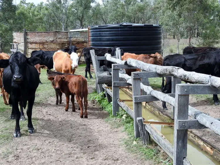 Second view of Homely rural property listing, Address available on request