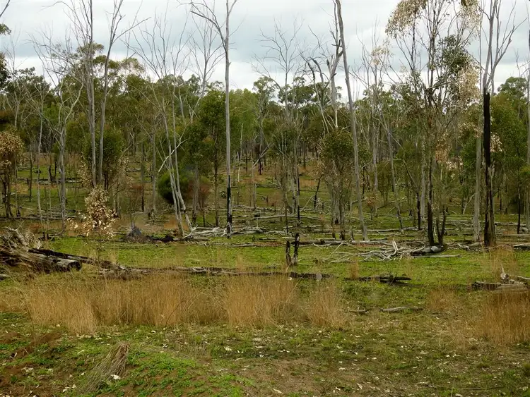 Sixth view of Homely rural property listing, Address available on request