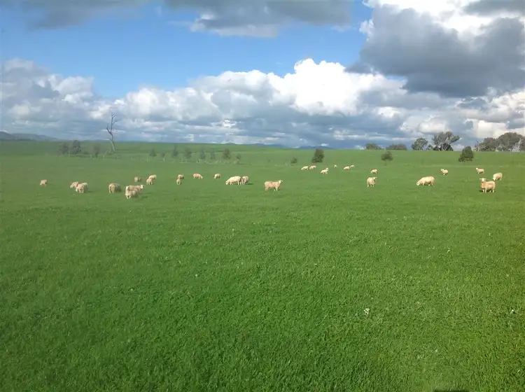 Second view of Homely rural property listing, 121 Nioka Road, Jindera NSW 2642