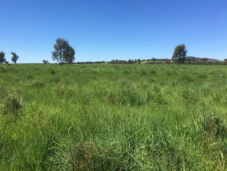 Fourth view of Homely rural property listing, 121 Nioka Road, Jindera NSW 2642