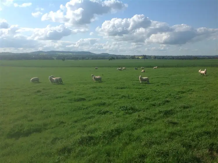 Fifth view of Homely rural property listing, 121 Nioka Road, Jindera NSW 2642