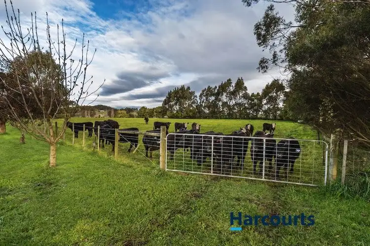 Sixth view of Homely rural property listing, 279 Ridgley Highway, Romaine TAS 7320