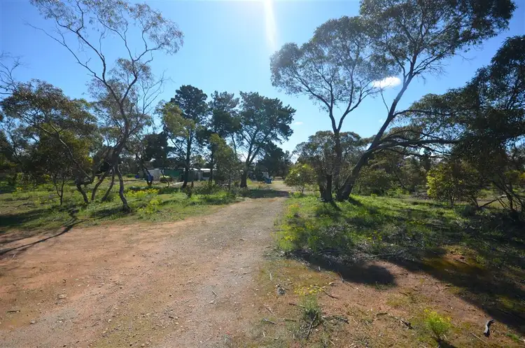 Main view of Homely rural property listing, 210 Westbrook Road, Tailem Bend SA 5260