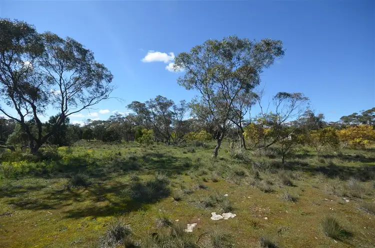 Fourth view of Homely rural property listing, 210 Westbrook Road, Tailem Bend SA 5260