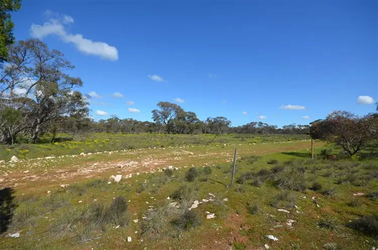 Fifth view of Homely rural property listing, 210 Westbrook Road, Tailem Bend SA 5260
