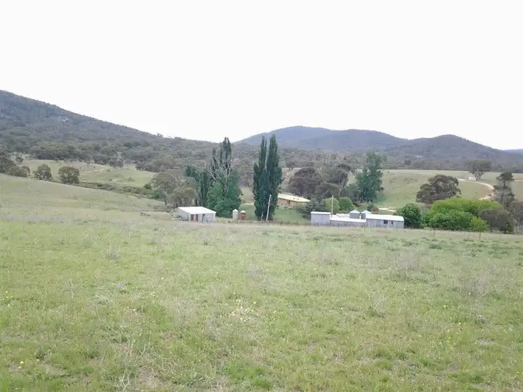 Third view of Homely rural property listing, 343 Bundarra Road, Bredbo NSW 2626