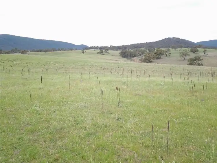Fourth view of Homely rural property listing, 343 Bundarra Road, Bredbo NSW 2626