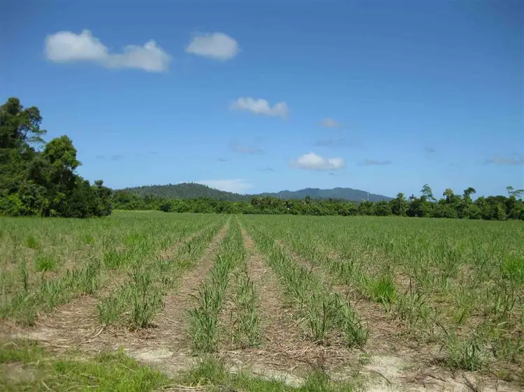 Second view of Homely rural property listing, 0 Bruce Highway, El Arish QLD 4855